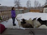 Угощение